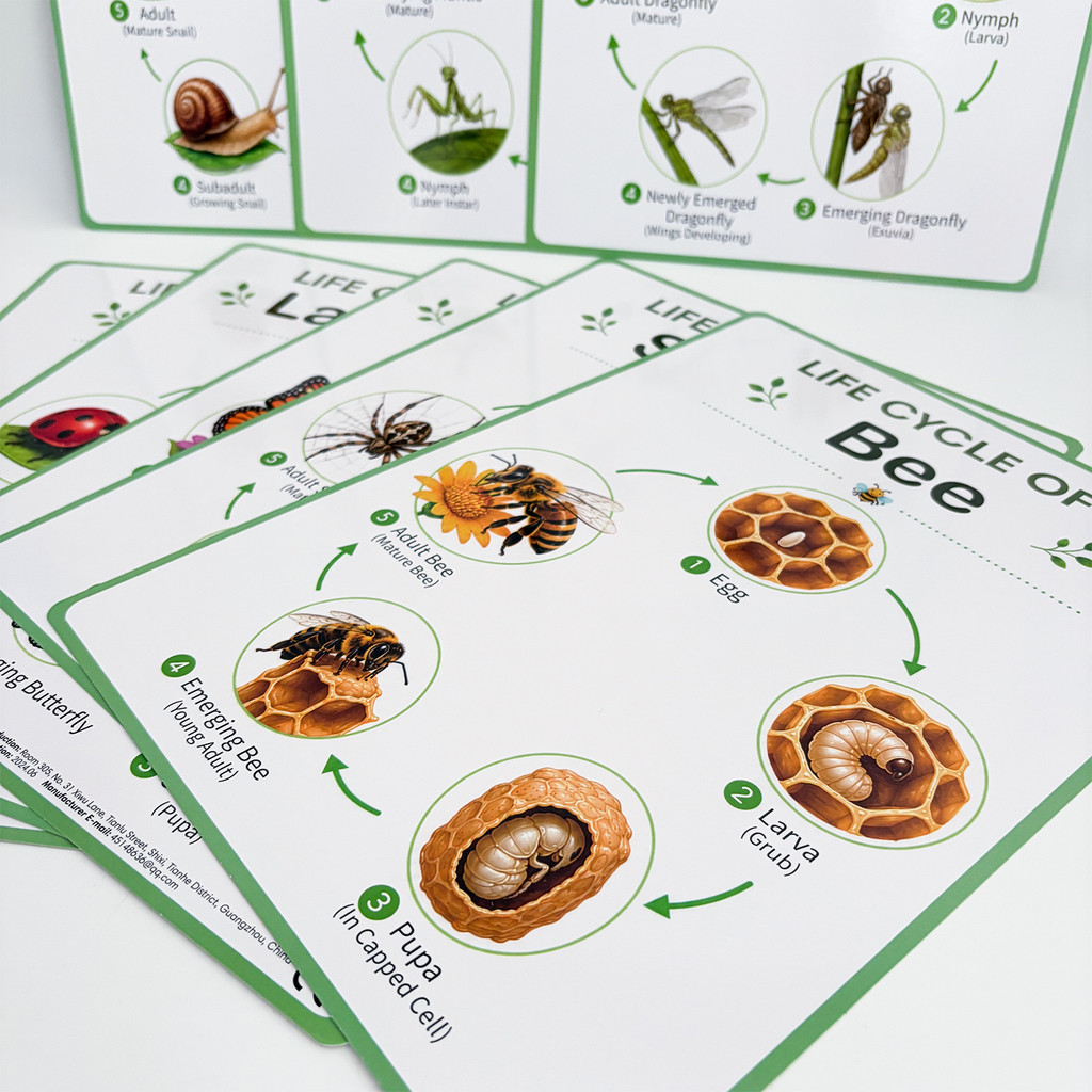 8-delige educatieve posters ov - Kids Nature Education recensie en prijs