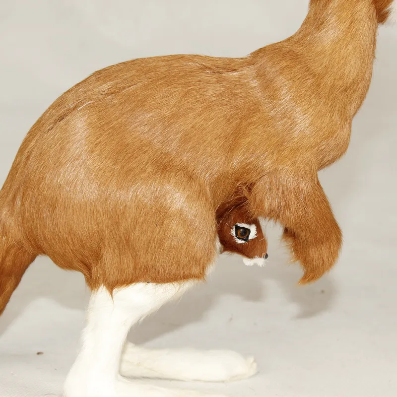 Levensechte kangoeroe handpop  - Kangaroo Kids Education recensie en prijs